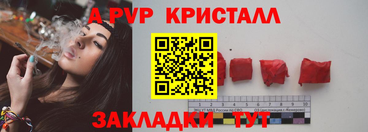 купить  сайты  Alpha PVP Crystall  Вход с VPN  A PVP крисы CK  Грязи  Alfa_PVP СК КРИС 