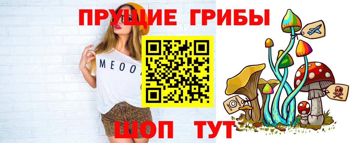 Галлюциногенные грибы Cubensis Грязи