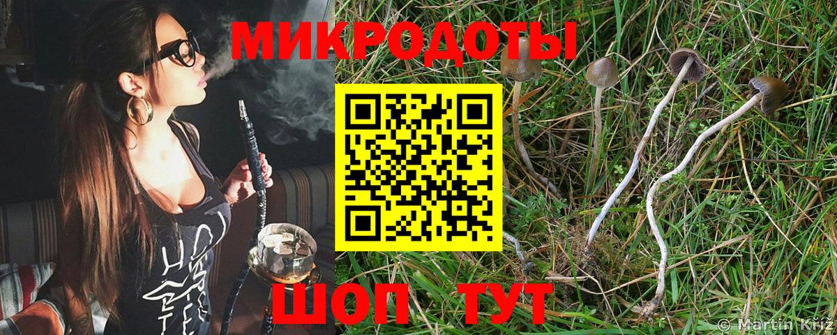 Псилоцибиновые грибы GOLDEN TEACHER  Псилоцибиновые грибы Psilocybine cubensis  Грязи  Вход с VPN 